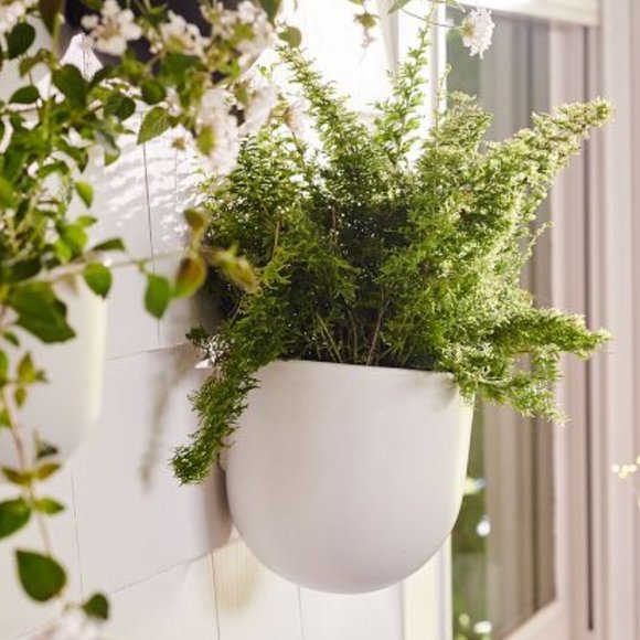 West Elm Wall Decor New West Elm Ceramic Wall Planter White Matte